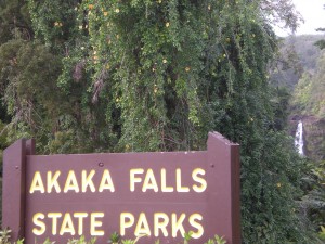 Akaka falls sign